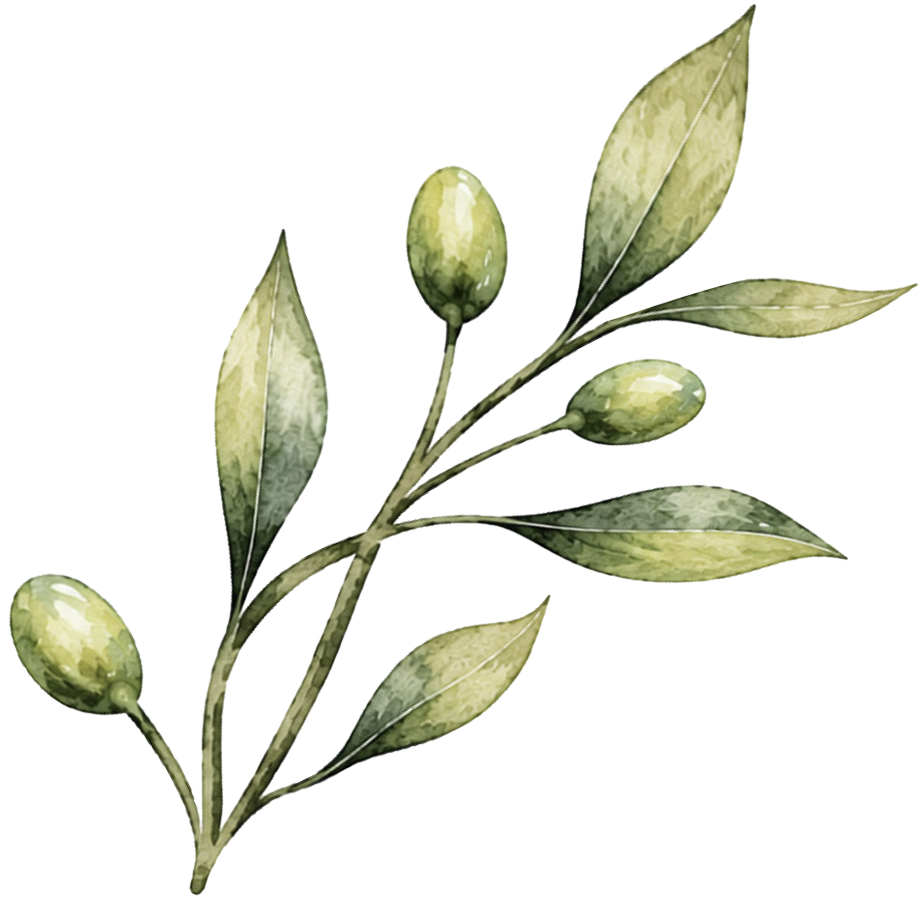 do olivebranchicon